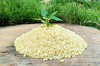 image of greenplast biodegradable water soluble pellets